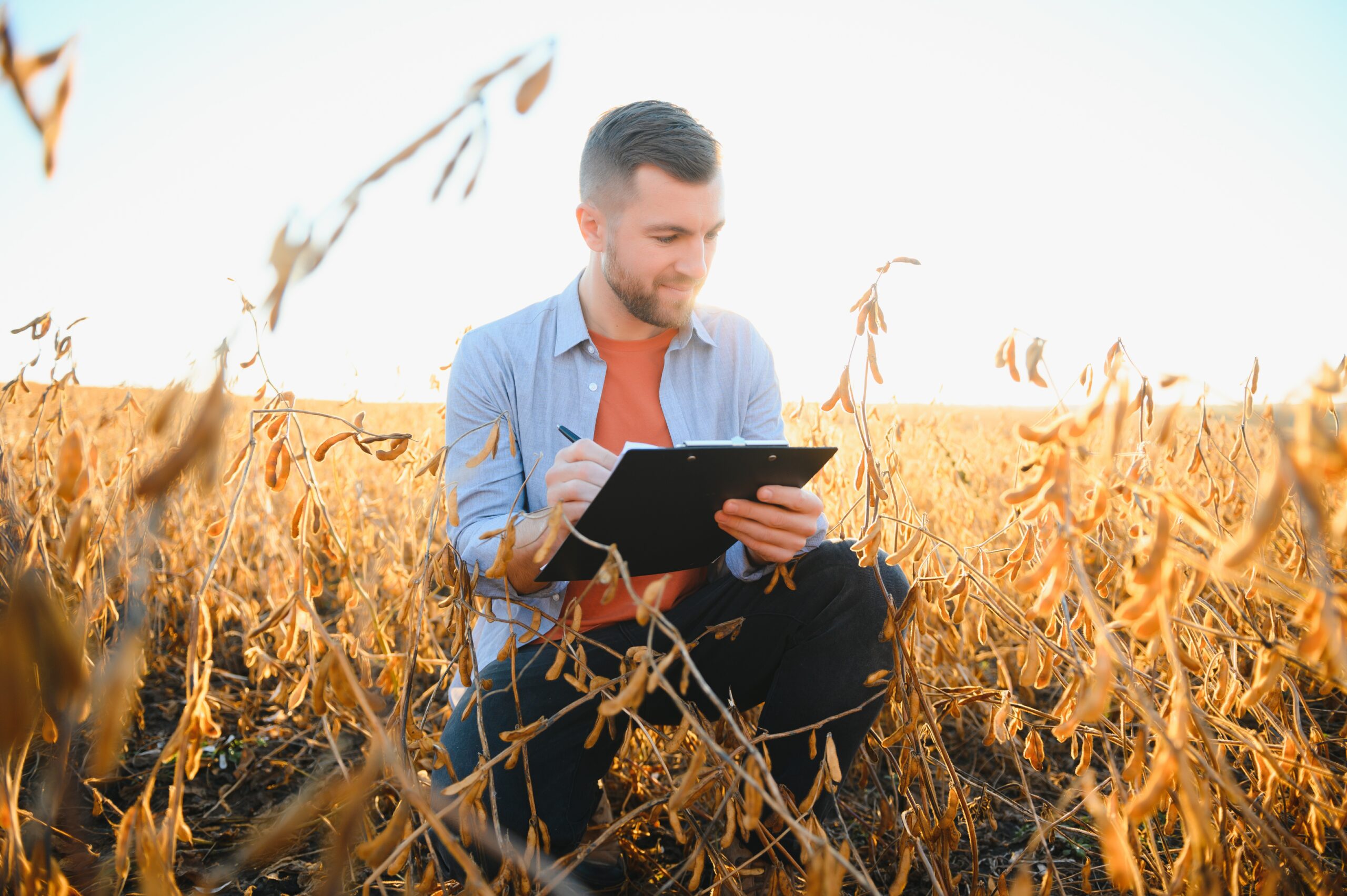Agronomist inspects soybean crop in agricultural field - Agro concept - farmer in soybean plantation on farm.